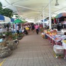 반딧불 PC 이미지