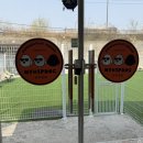 마이독 | 용두동] 블리🐶와 함께 다녀온 천연잔디 &amp; 인조잔디 &amp; 넓은 실내가 있는 애견카페 | 마이힙독 내돈내산 후기