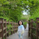 소망아기어린이집 이미지