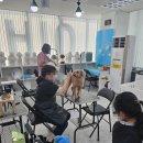 (단기)펫푸드(자격증) 이미지