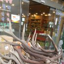 서울약령시장 이미지