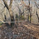 황간(부산) 이미지