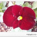 수경농원