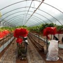 동원환경(1농장) 이미지