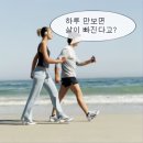 바람의 노래... 이미지