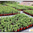 녹지농장 이미지