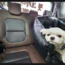 GS25 수원행복점 이미지