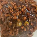 진짜장 | 짜장라면 오뚜기 진짜장 맛후기/짜장라면 추천