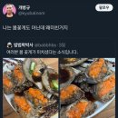 (주)배타고닷컴 | 상하이 디즈니랜드 /트립닷컴에 여권번호 잘 못입력해도 디즈니랜드 들어갈 수 있음