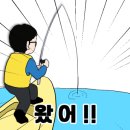 한방낚시 이미지