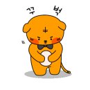 한성카 이미지