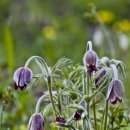 향기4로+향기5로 이미지