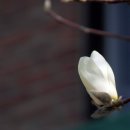 동자초등학교 이미지