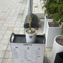 김밥집 | 부산 대연동 분식 존맛집 '김밥담다' 추천 후기