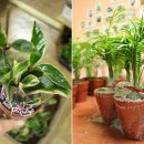 서곡초등학교 병설유치원 이미지