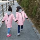 전주화산초등학교 이미지