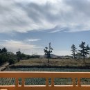 엉알게스트하우스 이미지