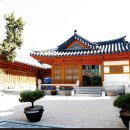 따사로운