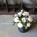 (주)나트리스 이미지