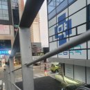 닭파는언니들