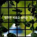 백궁 이미지