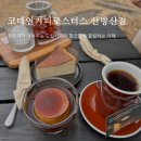 코데인커피로스터스 제주 <b>커피</b> 맛집 드립<b>커피</b> 전문점 <b>코데인</b><b>커피</b><b>로스터스</b> 산방산점 추천(주차 가능)