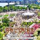 서울 9월 10월 가볼만한 곳 이미지