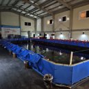 용인실내바다낚시터 이미지