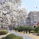 연세대학교 경제대학원 이미지