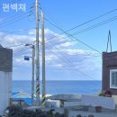 편백채 이미지