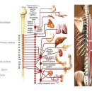 바른맥한의원 이미지