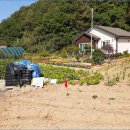 남면농장 이미지