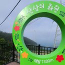 통리장 코스 이미지