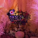 인천 실내데이트 미스틱캠프 실내캠핑장 겨울방학 가볼만한 곳