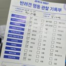 헬로우버디 | 대구달서점 애견유치원 헬로우버디 방문후기