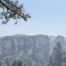 장가계 프롤로그 ⛰️⛰️