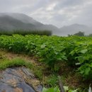 순로컬푸드 이미지
