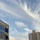 클린히트 복싱짐 이미지