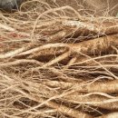 으뜸농장 1 이미지