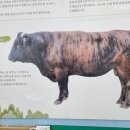 봉래약국 이미지