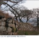 숲쟁이로 이미지