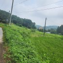 대복공인중개사무소 이미지