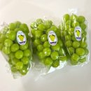 퍼털그라운드 이미지