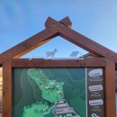 세이지우드 홍천산양목장 | 아이들이 신나할 강원도 홍천 세이지우드 산양목장 - 깨끗한 축사에서 사육하는 염소체험