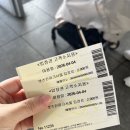 오마뎅 과천자이점 | 벚꽃 데이트 추천 - 2026 경마공원 벚꽃축제