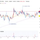 (주)고려양행 이미지