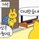 생리대 한장으로 버티기 나는 왜 간호사일까 이미지