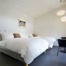 제주토끼 이미지