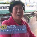 문어시대 이미지