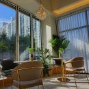 다옴헤어 이미지